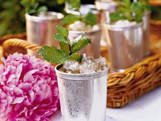 classic mint julep