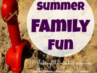 Summer Family Fun Linky Party 7/16 to 8/25