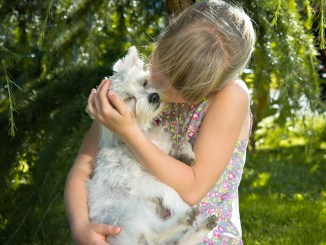 How to Teach Your Child to Help Take Care of Your Dog