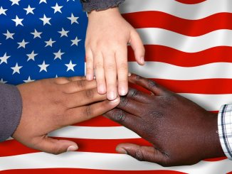 immigrants american flag
