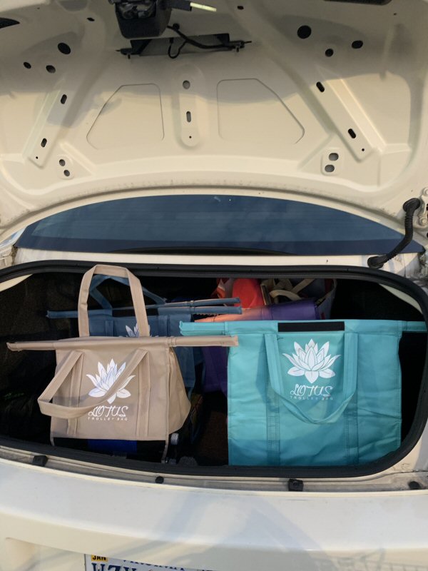 Separate and Fit Perfectly in the Trunk - Lotus Trolley Bag