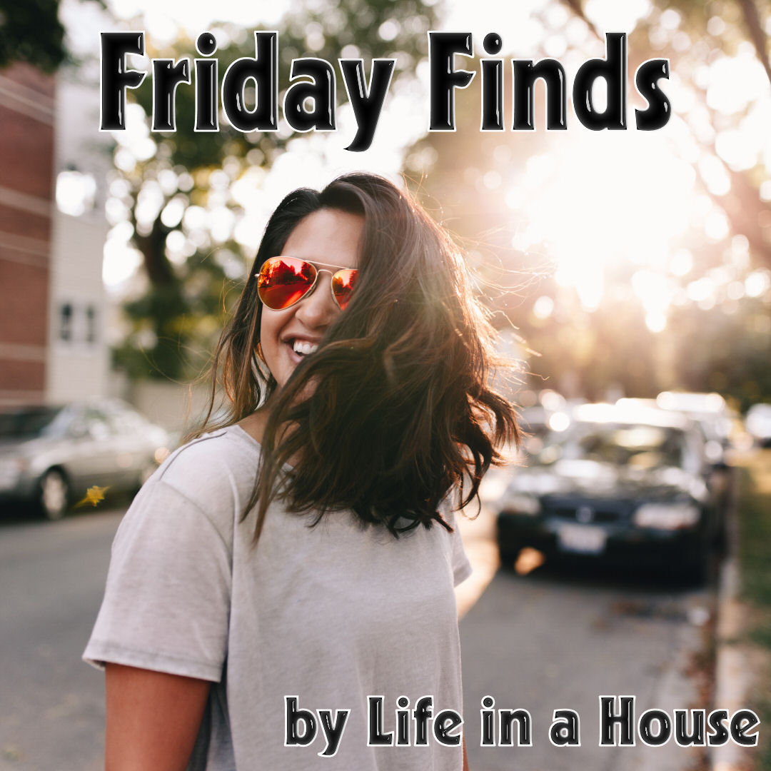 Friday Finds by Life in a House